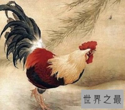 【图】你知道82年属什么生肖？