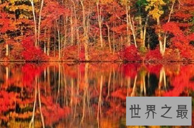 【图】你知道成语热火朝天的意思吗？