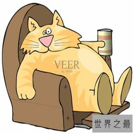 【图】 懈怠的反义词有哪些