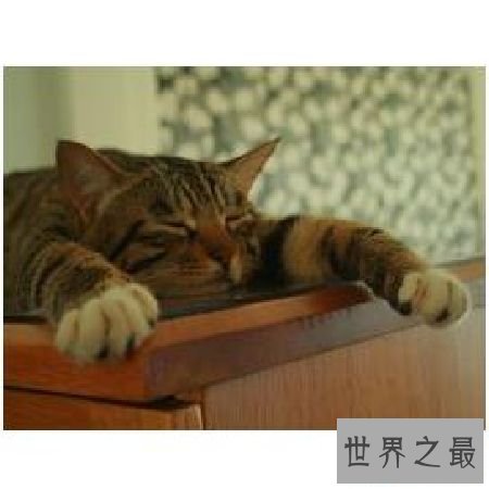 【图】 懈怠的反义词有哪些