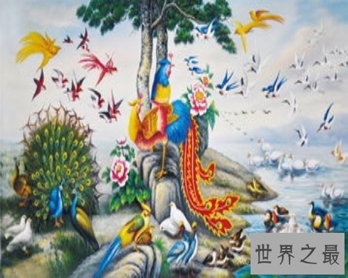 【图】16年最深情电影-百鸟朝凤