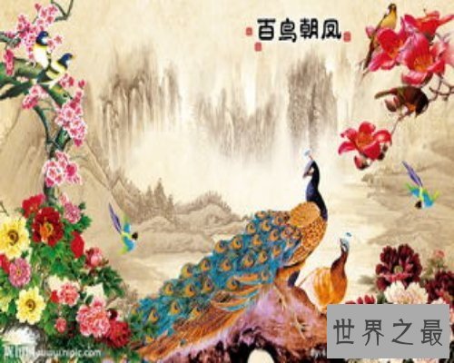 【图】16年最深情电影-百鸟朝凤