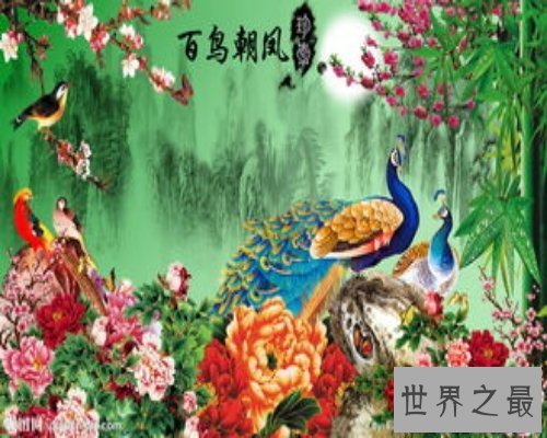 【图】16年最深情电影-百鸟朝凤