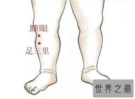 【图】足三里怎样找？凶猛了大兄弟！