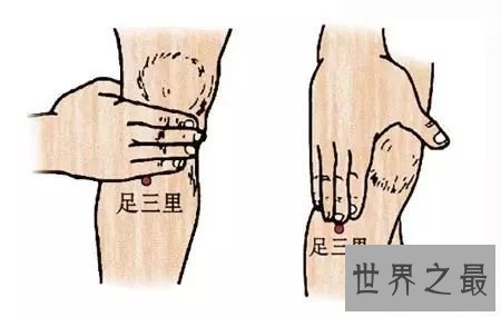 【图】足三里怎样找？凶猛了大兄弟！