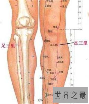【图】足三里怎样找？凶猛了大兄弟！