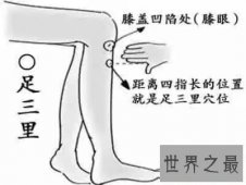 【图】足三里怎么找？厉害了大兄弟！