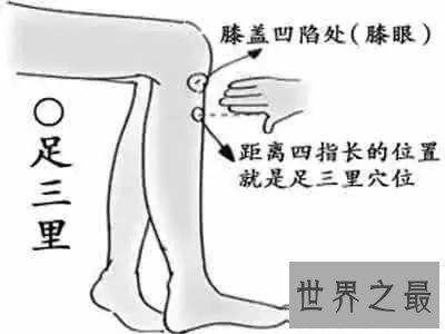 【图】足三里怎样找？凶猛了大兄弟！