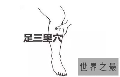 【图】足三里怎样找？凶猛了大兄弟！