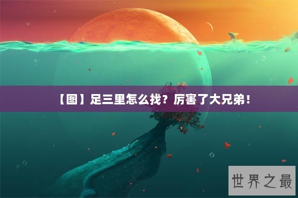 【图】足三里怎么找？厉害了大兄弟！