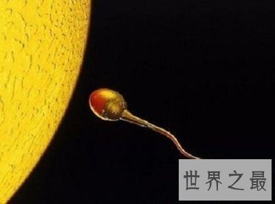 【图】超级精子人类不孕的救星