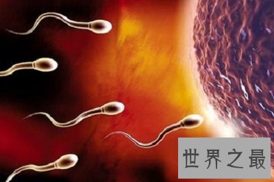 【图】超级精子人类不孕的救星
