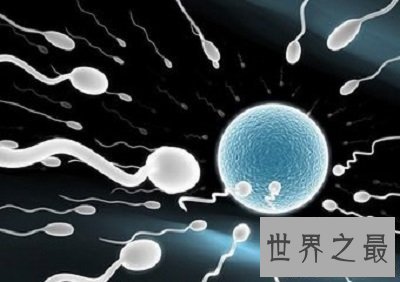 【图】超级精子人类不孕的救星
