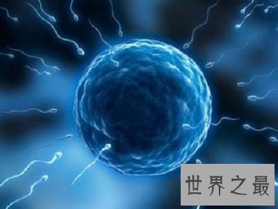 【图】超级精子人类不孕的救星