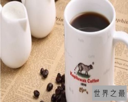 【图】世界上最著名的咖啡-猫屎咖啡