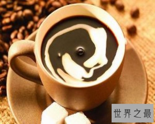 【图】世界上最著名的咖啡-猫屎咖啡