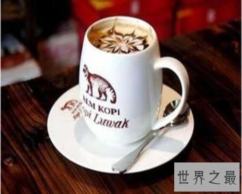 【图】世界上最著名的咖啡-猫屎咖啡