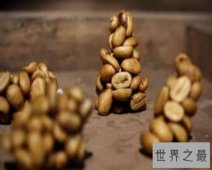 【图】世界上最著名的咖啡-猫屎咖啡