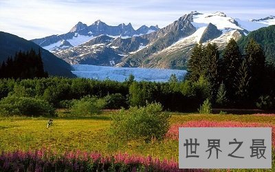 【图】最难看的壁纸搜狗壁纸