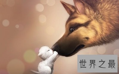 【图】最难看的壁纸搜狗壁纸