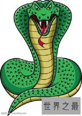 【图】历史上最具魅力的女性--埃及艳后