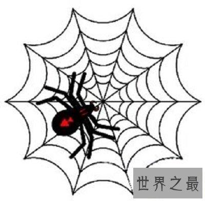 【图】你了解蜘蛛磁力么？