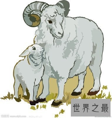 【图】你知道91年属什么生肖么？