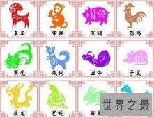 【图】你知道91年属什么生肖么？