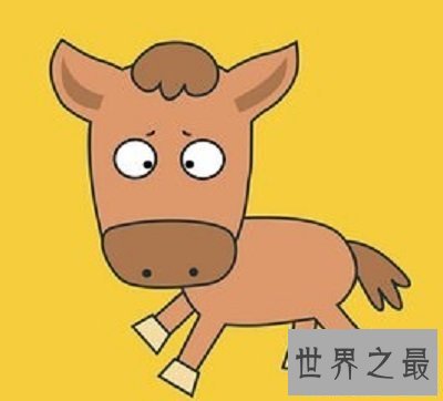 【图】你知道91年属什么生肖么？