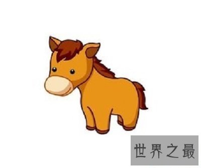 【图】你知道91年属什么生肖么？