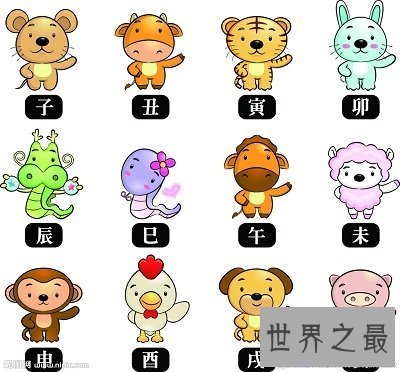 【图】你知道91年属什么生肖么？