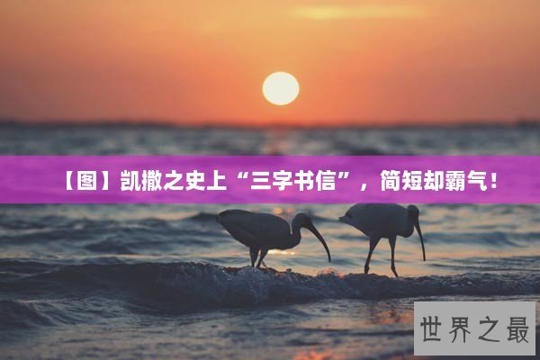 【图】凯撒之史上“三字书信”，简短却霸气！