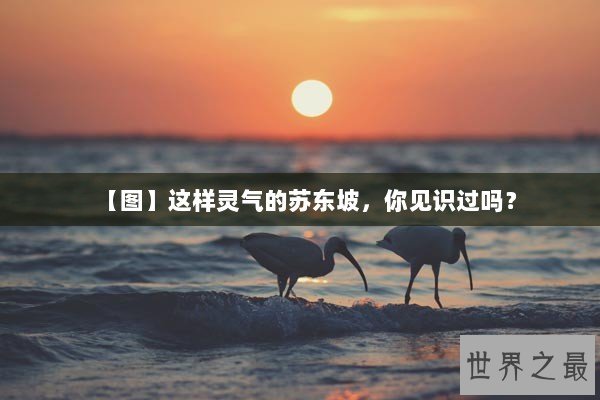 【图】这样灵气的苏东坡，你见识过吗？