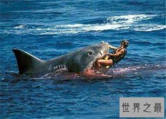【图】鲨鱼吃人恐怖事件介绍 多数发生在早年间