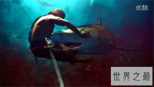 【图】鲨鱼吃人恐惧事情引见 少数发生在早年间