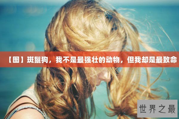 【图】斑鬣狗，我不是最强壮的动物，但我却是最致命