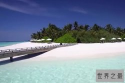 【图】世界上最美的海滩 晚上海水会发光
