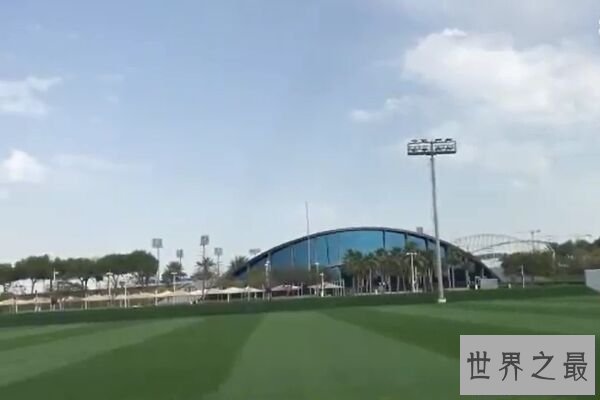 卡塔尔世界杯