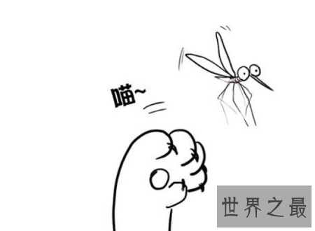 【图】花蚊子叮完之后应该如何解决能力避免传染病