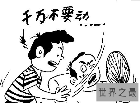 【图】花蚊子叮完之后应该如何解决能力避免传染病