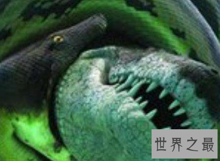 【图】泰坦巨蟒能吃半吨重的钝鼻鳄和3米的肺鱼