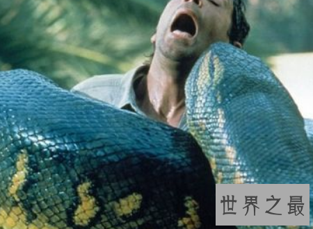 【图】泰坦巨蟒能吃半吨重的钝鼻鳄和3米的肺鱼
