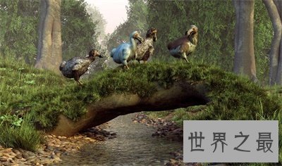 【图】渡渡鸟的灭绝罪魁祸首是人 人类还会重蹈覆辙吗