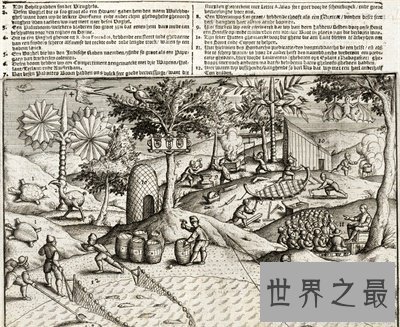 【图】渡渡鸟的灭绝罪魁祸首是人 人类还会重蹈覆辙吗