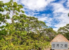 【图】全球十大森林覆盖率最广的国家 中国排第六！