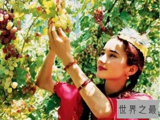 吐鲁番盆地是瓜果之乡 吐鲁番盆地是瓜果之乡