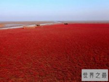 【图】世界上温度最高的海 红海一半是海水一半是火焰