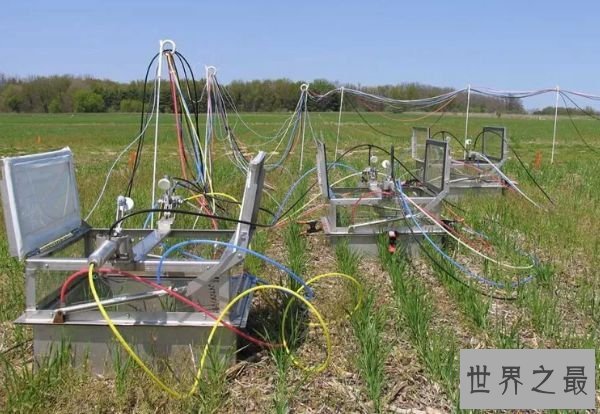 来自农业的甲烷和一氧化二氮的排放 来自农业的甲烷和一氧化二氮的排放