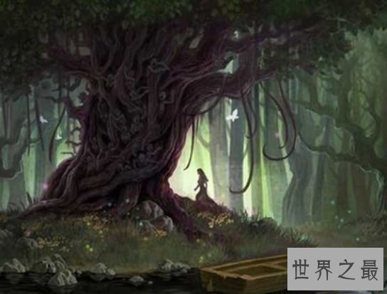 雅鲁藏布大峡谷悬疑二：杀人树的传闻