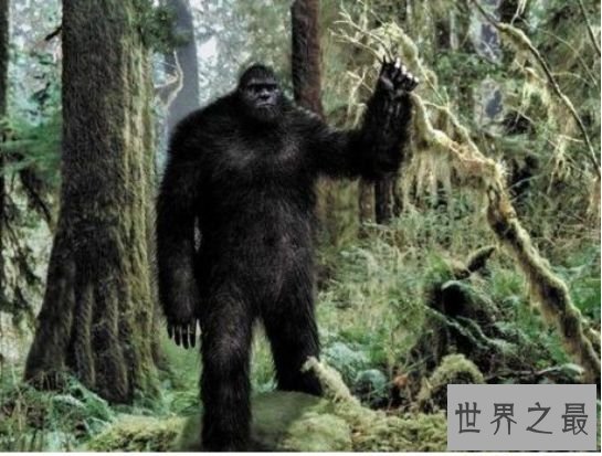 雅鲁藏布大峡谷悬疑一：野人的传说